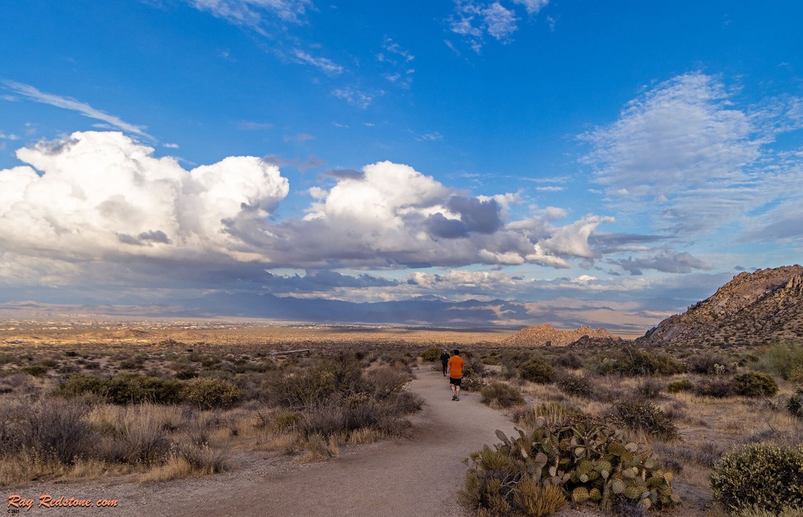 Hikers on a desert trail in Scottsdale, Arizona