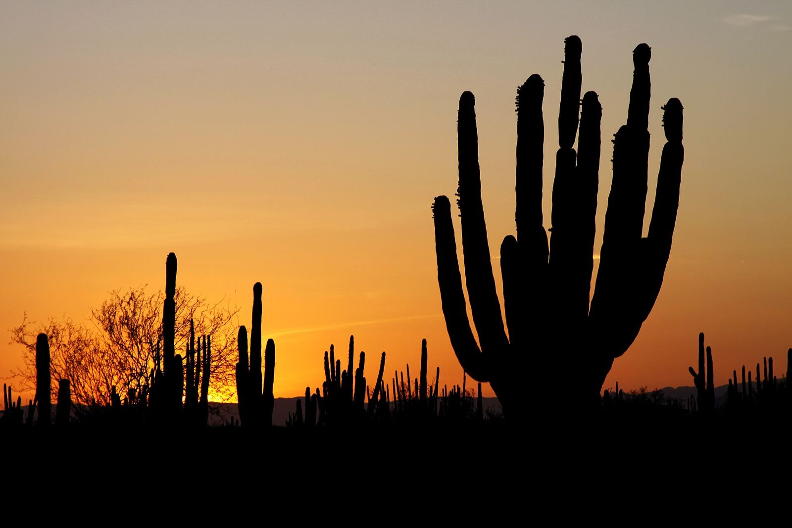 Desert sunset over Arizona